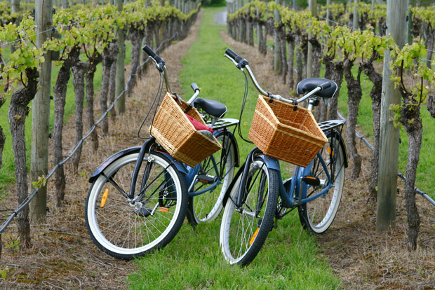 The best of Sonoma, by bike!